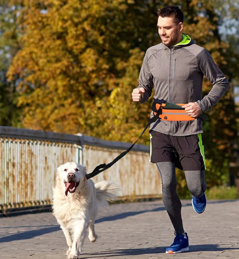 Correa para perros manos libres 