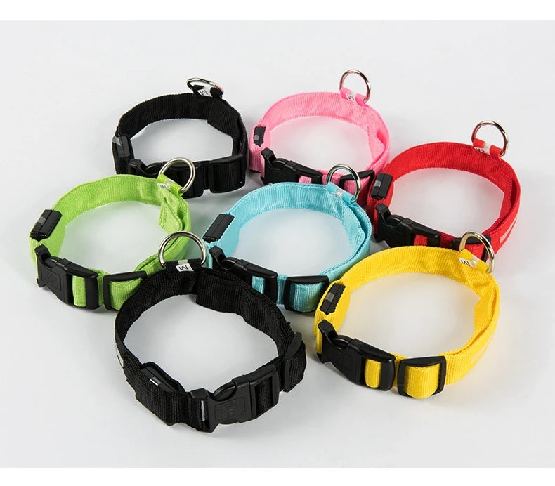 Collar fluorescente luminoso para perros: seguridad nocturna con LED