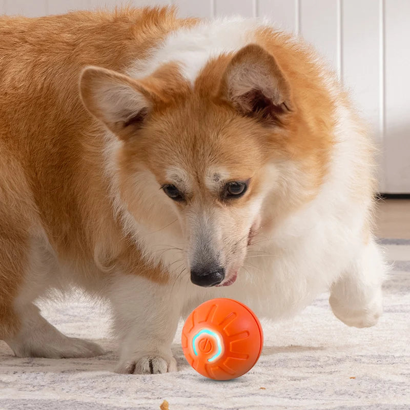 Pelota de juguete automática para perros y gatos, con movimiento inteligente, USB, para saltar, giratoria, interactiva 