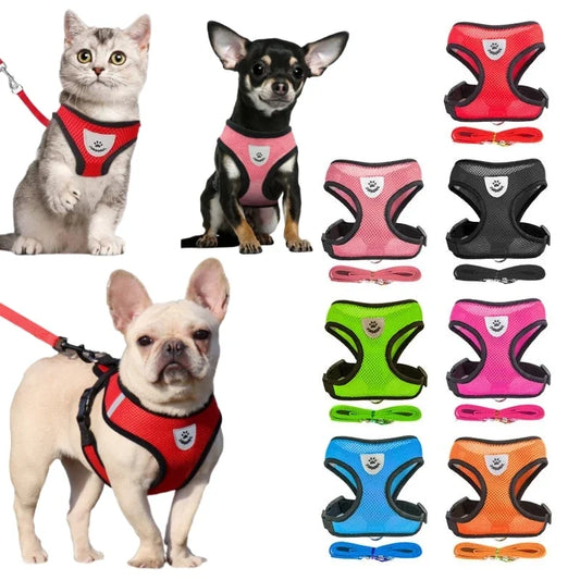 Small Dog & Cat Chest Strap Harness