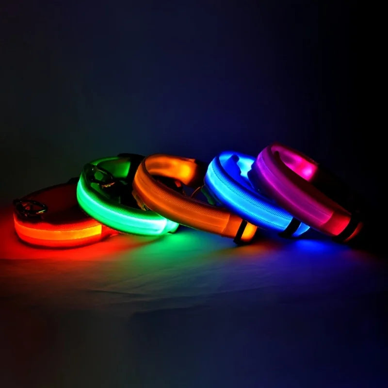 Collar fluorescente luminoso para perros: seguridad nocturna con LED