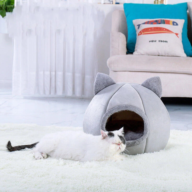 Pet Bed for Cats & Small Dogs