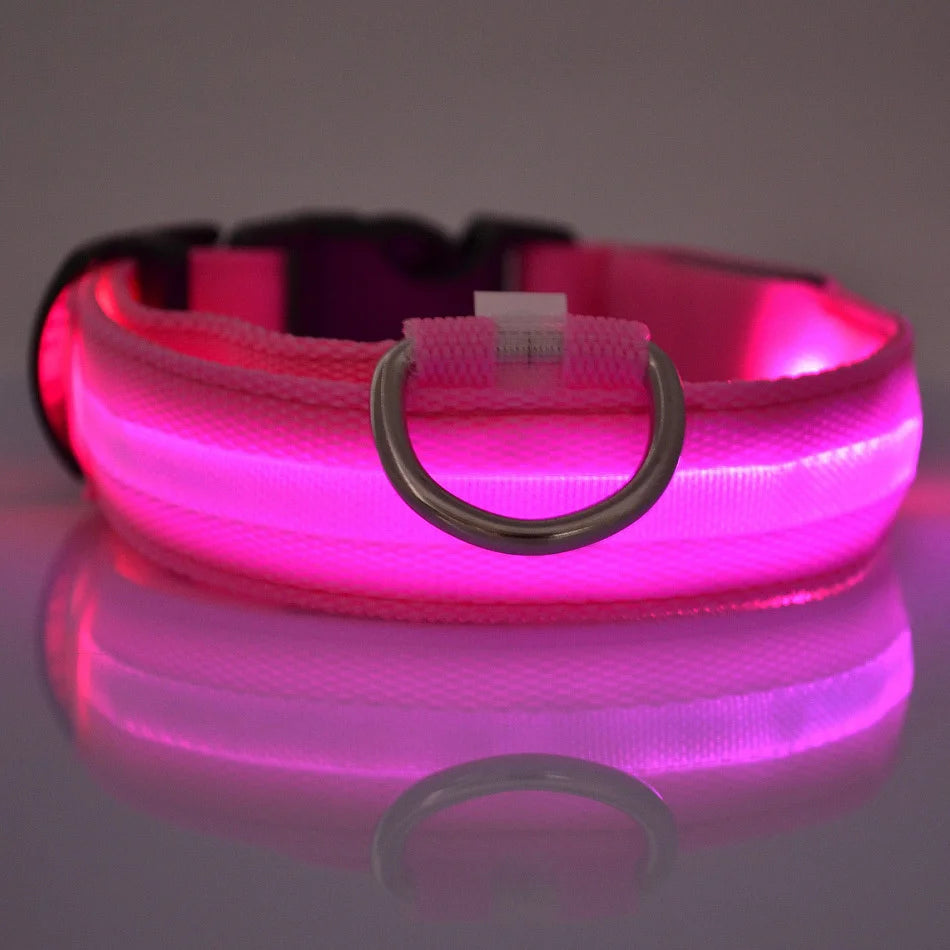 Luminous Fluorescent Pet Dog Collar – LED Night Safety