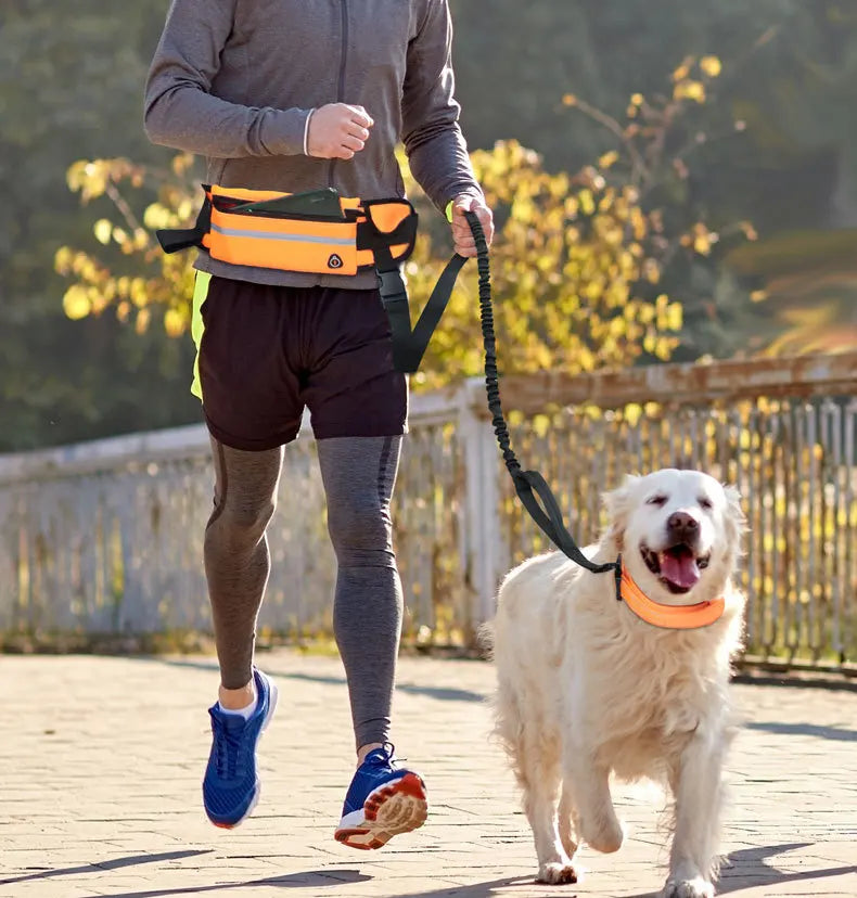 Hands-Free Dog Leash