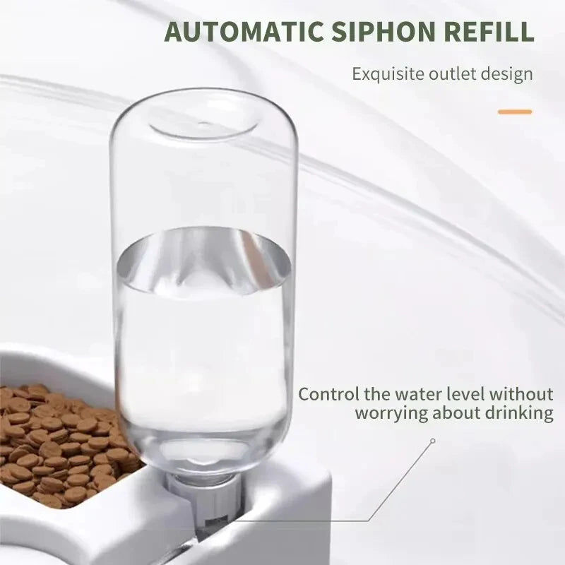 Automatic Drinking & Feeding Pet Bowl