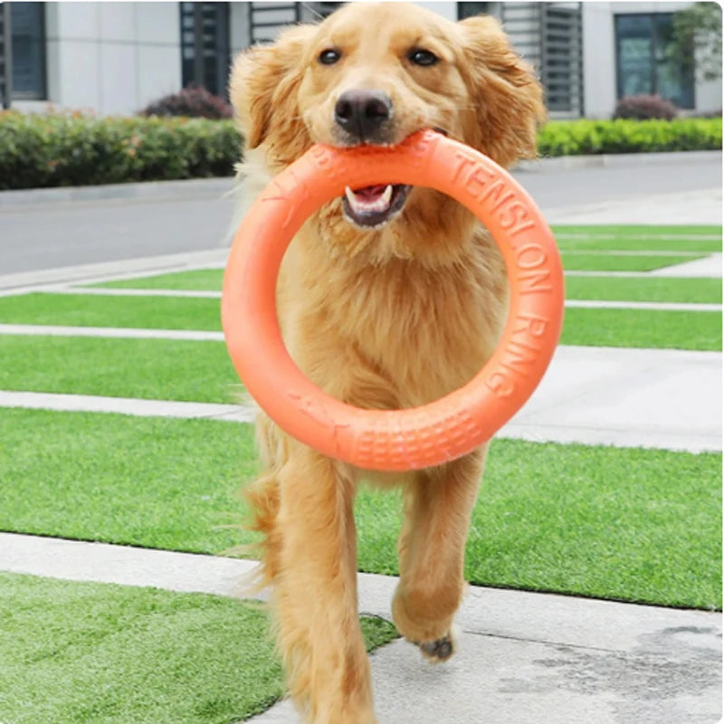 Dog Toy - Pet Flying Disk