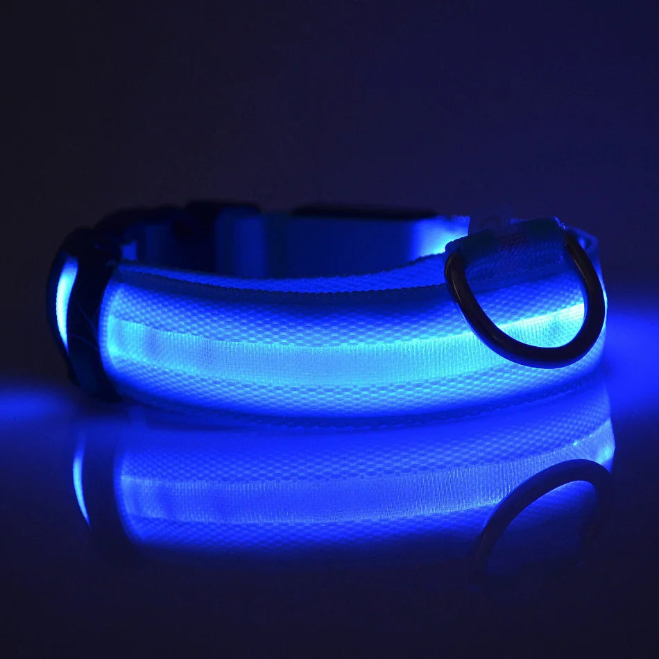 Collar fluorescente luminoso para perros: seguridad nocturna con LED