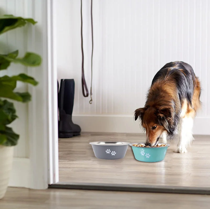 Dog Feeder Bowls And Drinkers Stainless Steel