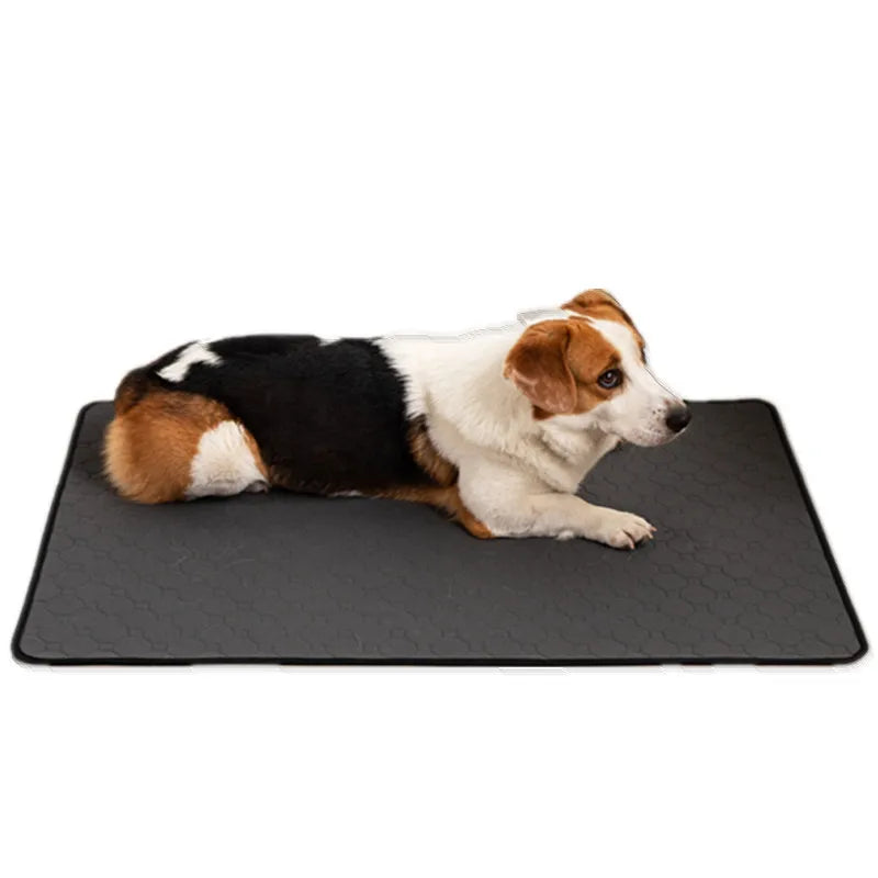 Almohadilla impermeable lavable para perros