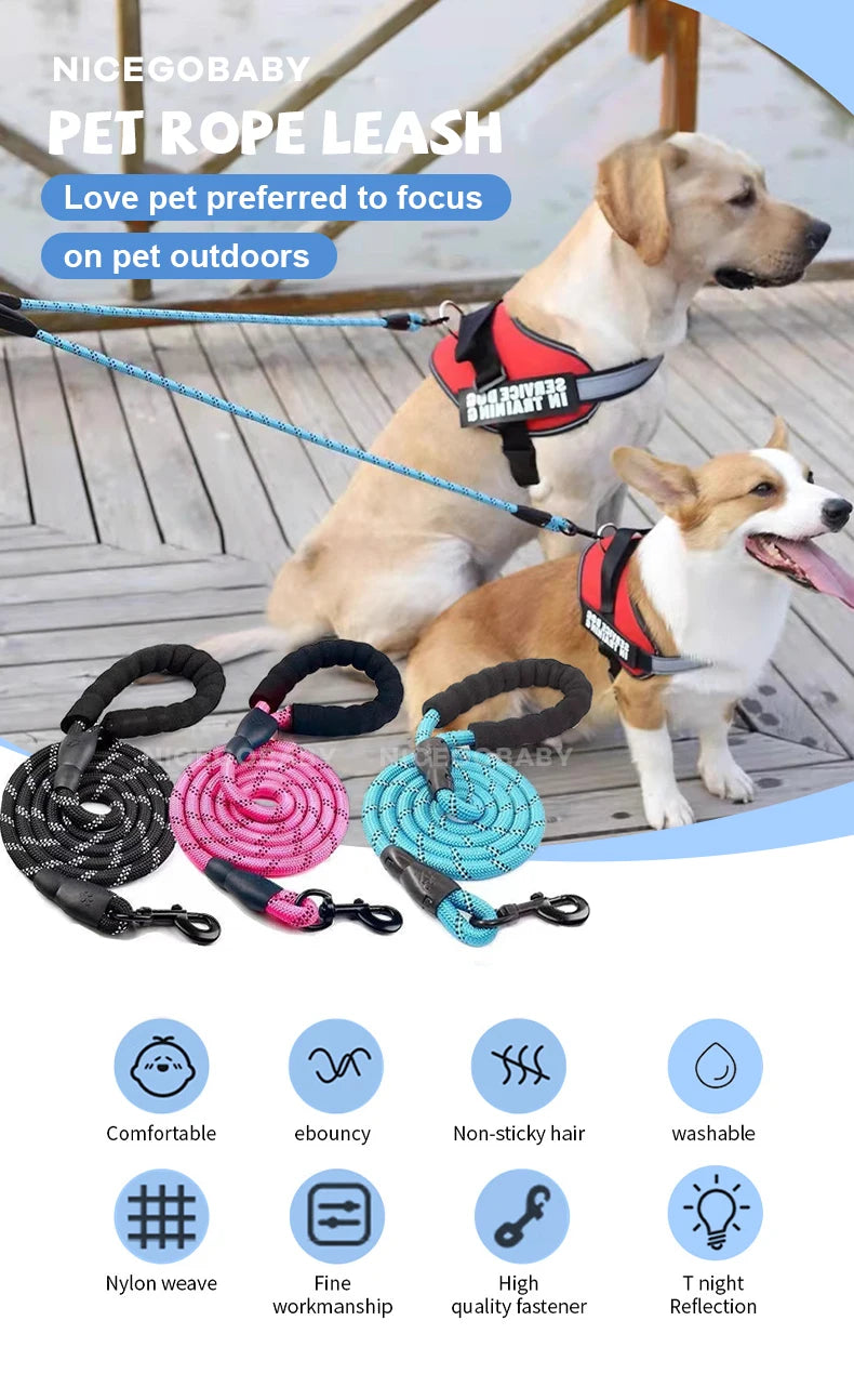 Reflective Dog Leash – Illuminate Your Evening Walks !