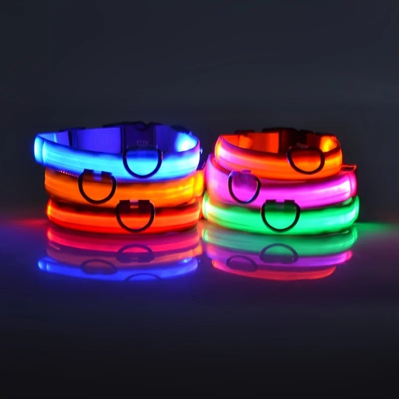 Collar fluorescente luminoso para perros: seguridad nocturna con LED