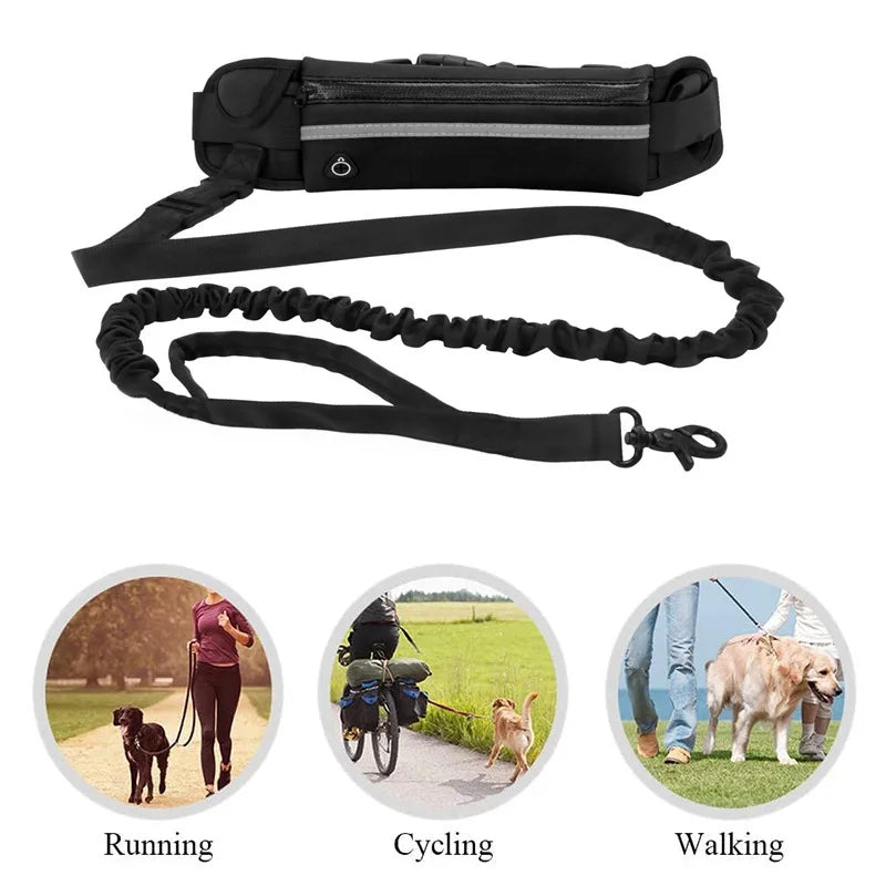 Hands-Free Dog Leash