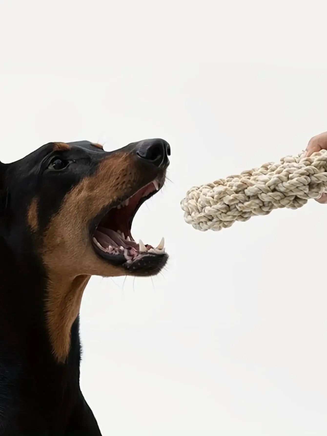 Juguete de cuerda de lino para perros: resistente a mordeduras y mordeduras