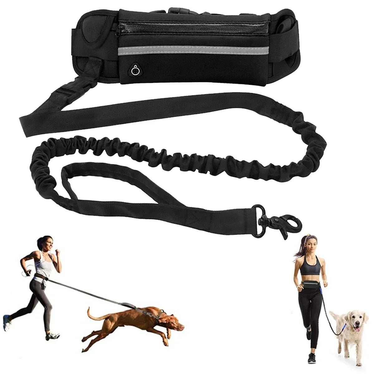 Hands-Free Dog Leash