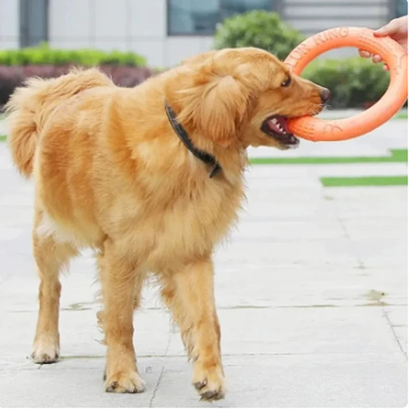 Dog Toy - Pet Flying Disk