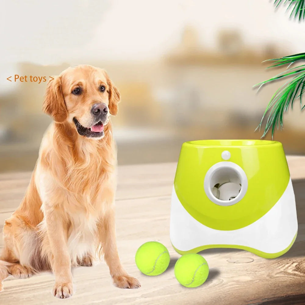 Lanzador automático de pelotas para perros 