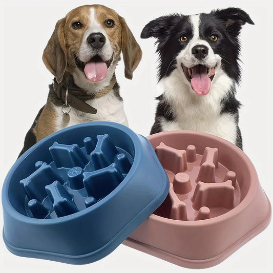 Dog & Cat Slow Feeder Non-choking Pet Bowl