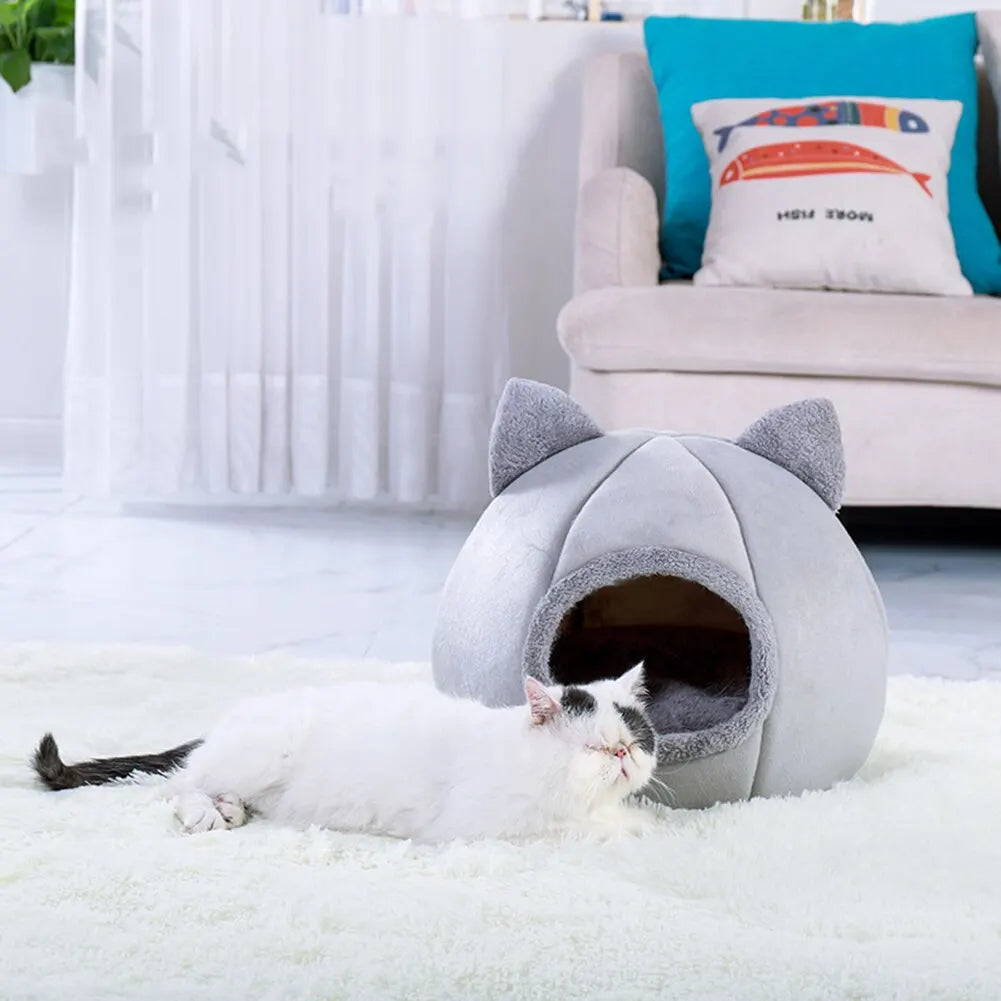 Pet Bed for Cats & Small Dogs