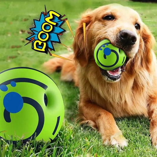 Ball Interactive for Dogs