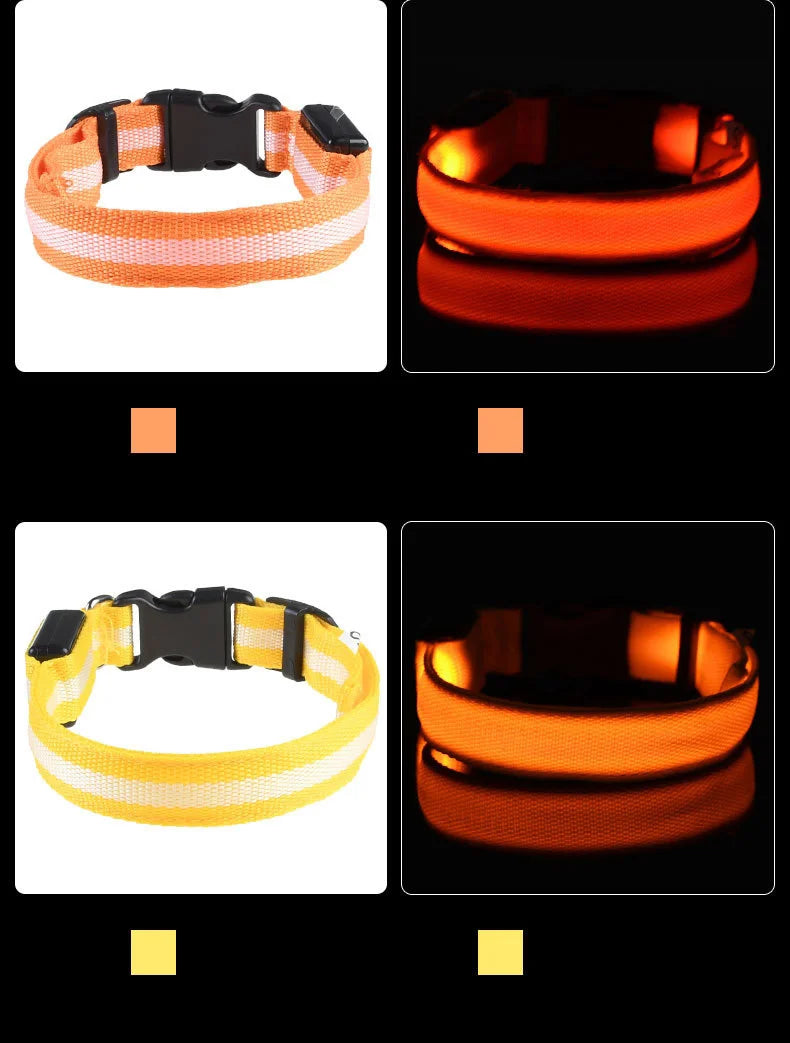 Luminous Fluorescent Pet Dog Collar – LED Night Safety