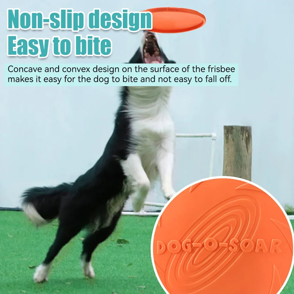 Dog Flying Discs