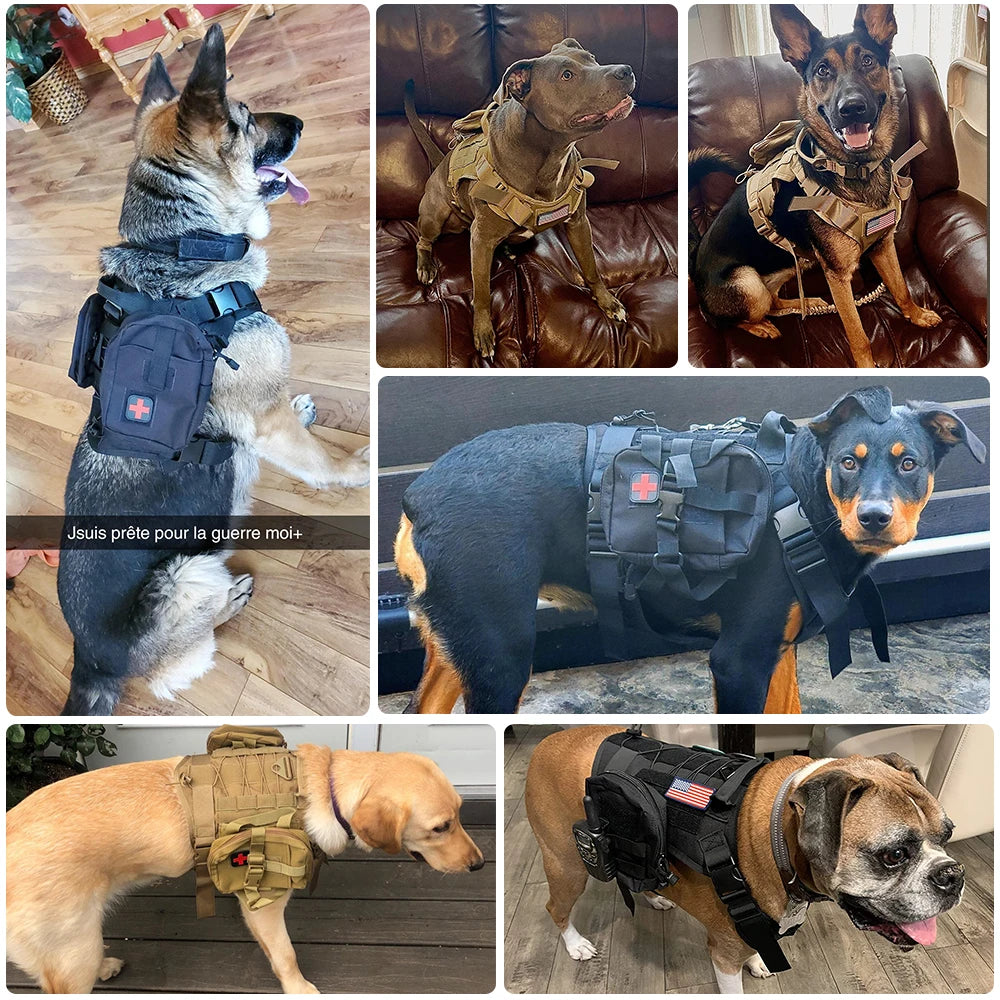 Arnés, collar y correa tácticos para perros, estilo militar 