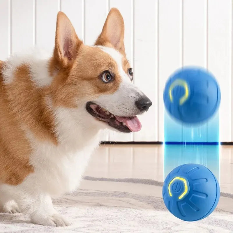 Automatic Moving Dog & Cat Toy Ball Smart USB Jumping Rotating Interactive