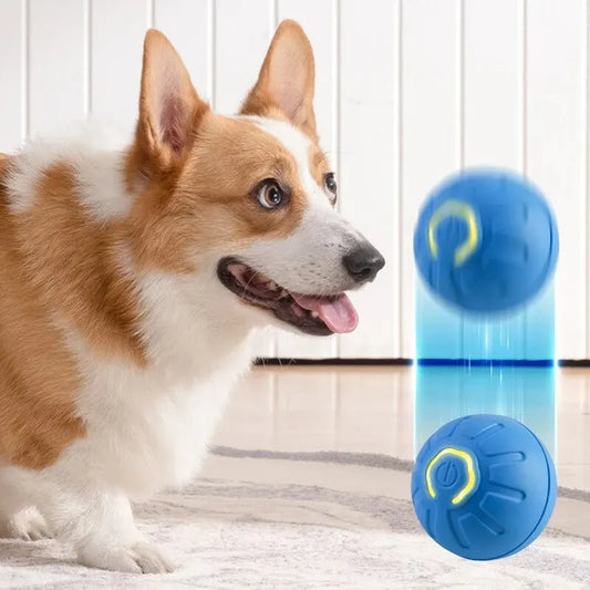 Pelota de juguete automática para perros y gatos, con movimiento inteligente, USB, para saltar, giratoria, interactiva 