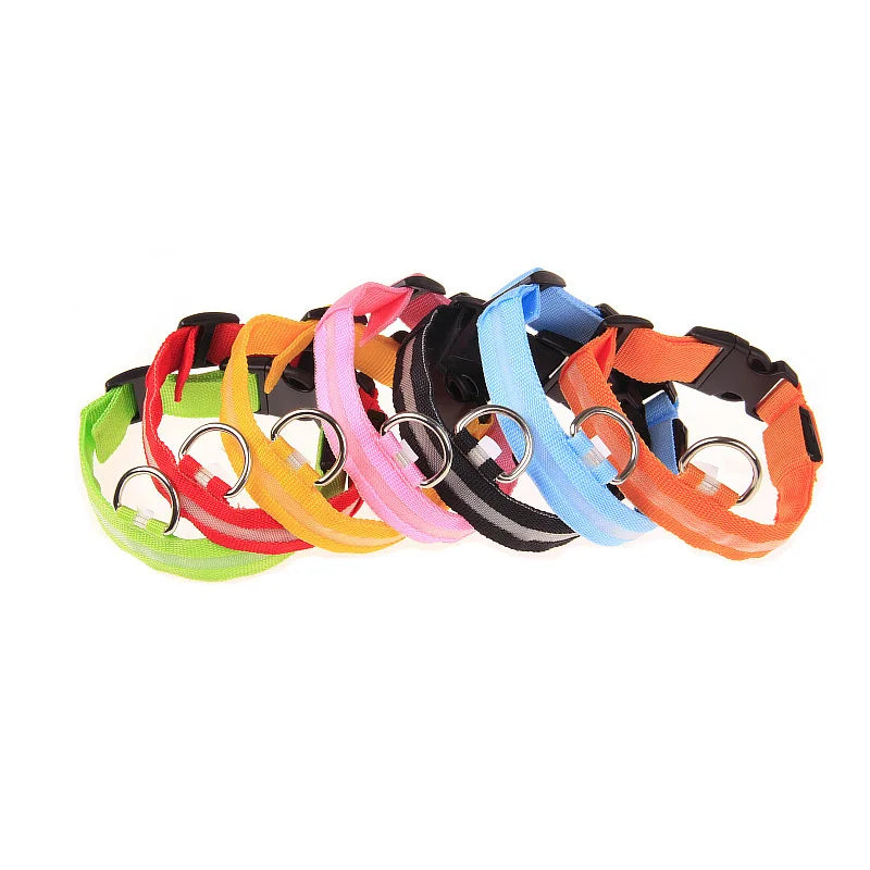 Luminous Fluorescent Pet Dog Collar – LED Night Safety