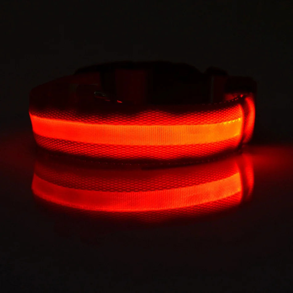 Collar fluorescente luminoso para perros: seguridad nocturna con LED