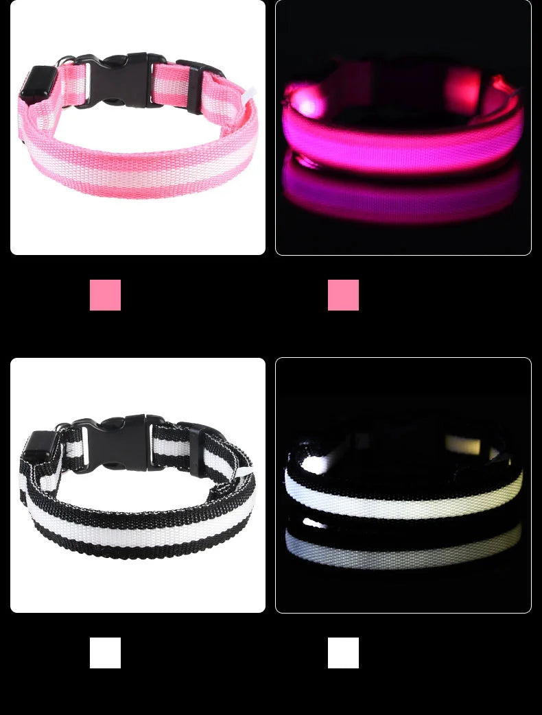 Luminous Fluorescent Pet Dog Collar – LED Night Safety