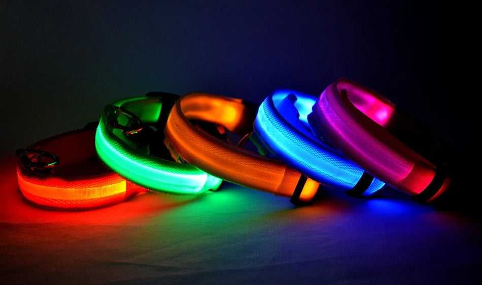 Collar fluorescente luminoso para perros: seguridad nocturna con LED