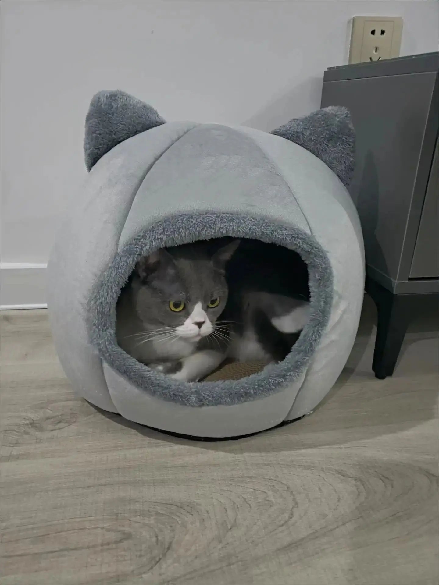 Pet Bed for Cats & Small Dogs