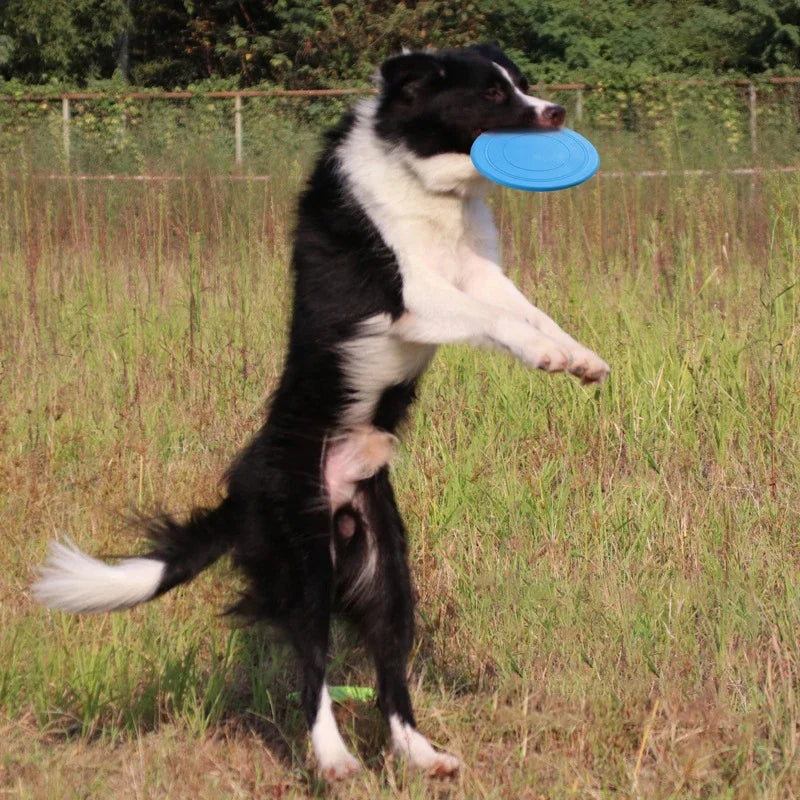 Discos voladores para perros