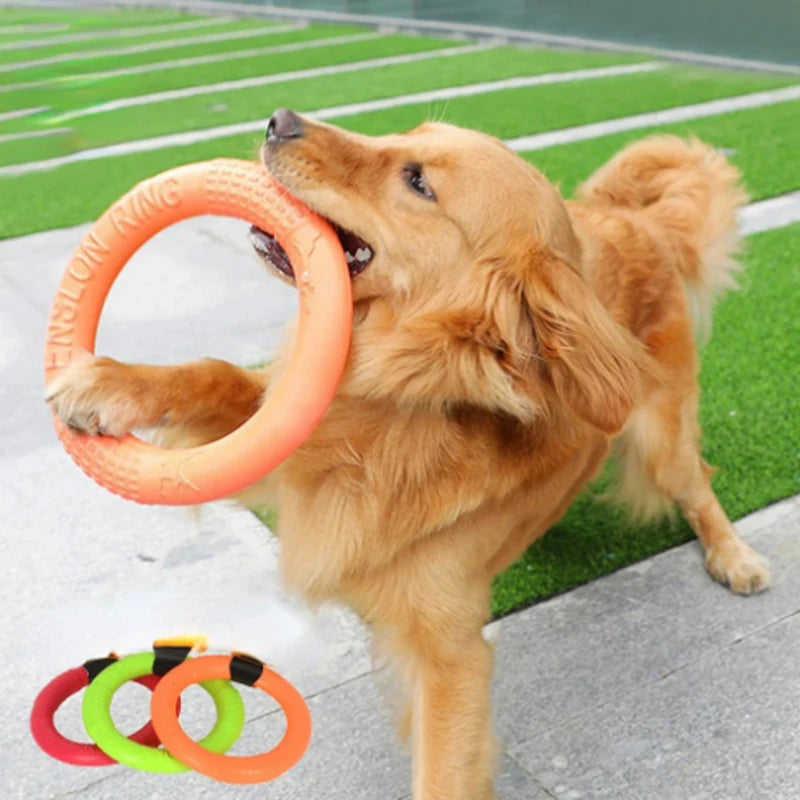 Dog Toy - Pet Flying Disk