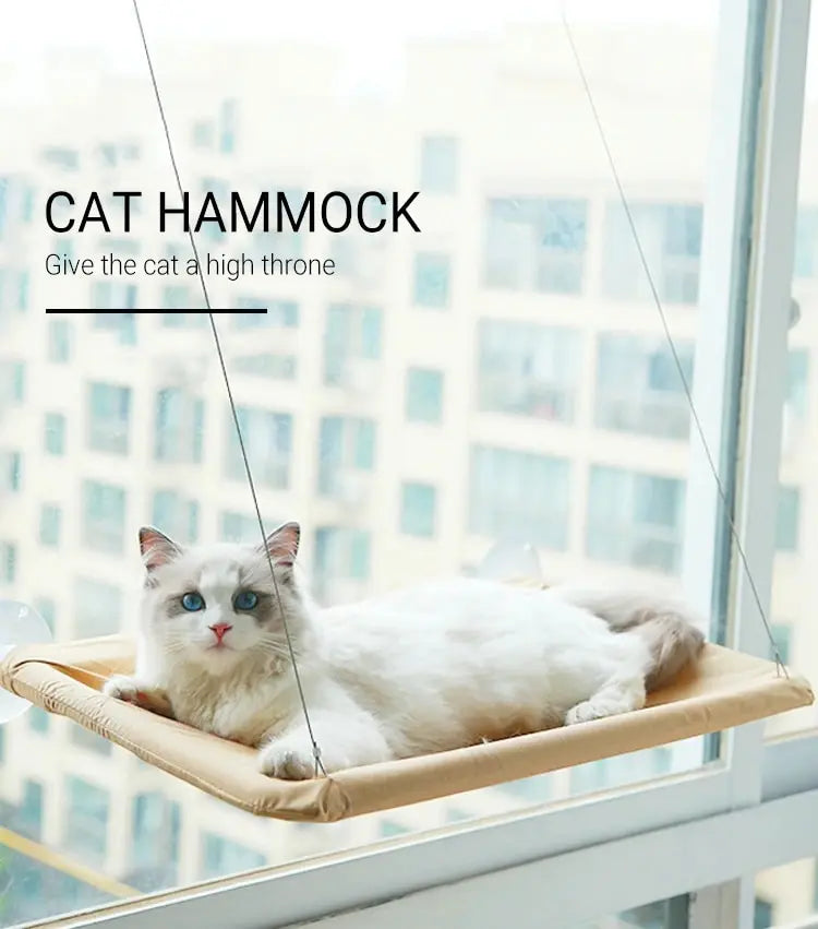 Hamaca para gatos: un lugar para dormir cómodo, desmontable y seguro 