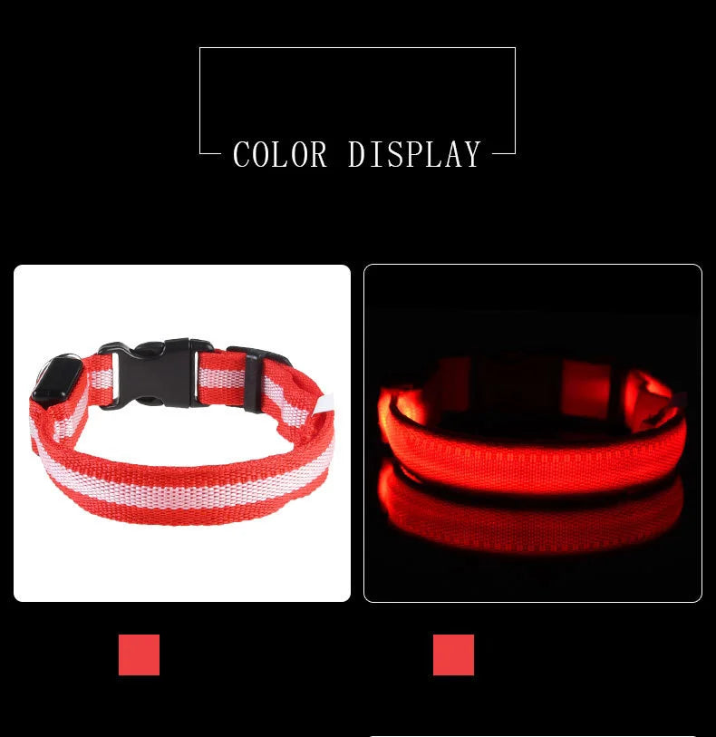 Luminous Fluorescent Pet Dog Collar – LED Night Safety