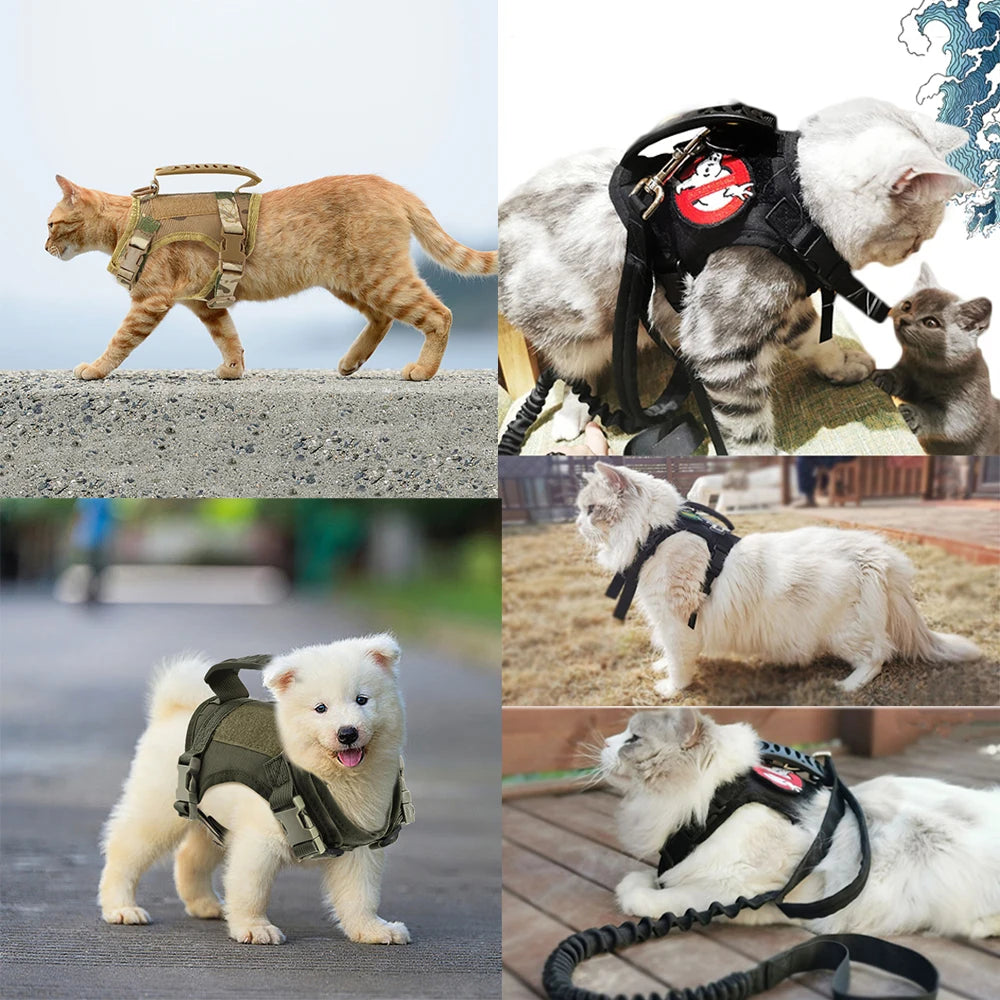 Tactical Cat Harness and Leash