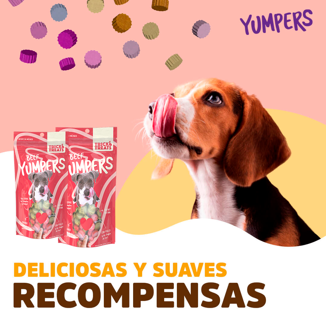 Golosinas para perros con sabor a Carne de Res de Yumpers