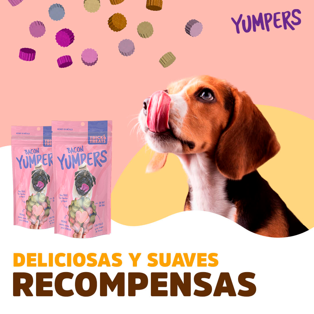 Golosinas para perros con Sabor a Tocino de Yumpers