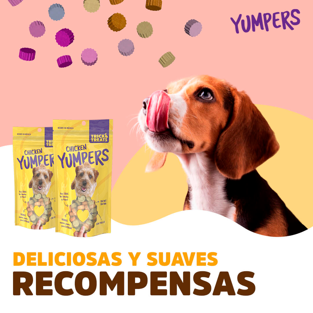 Golosinas para perros con sabor a pollo de Yumpers