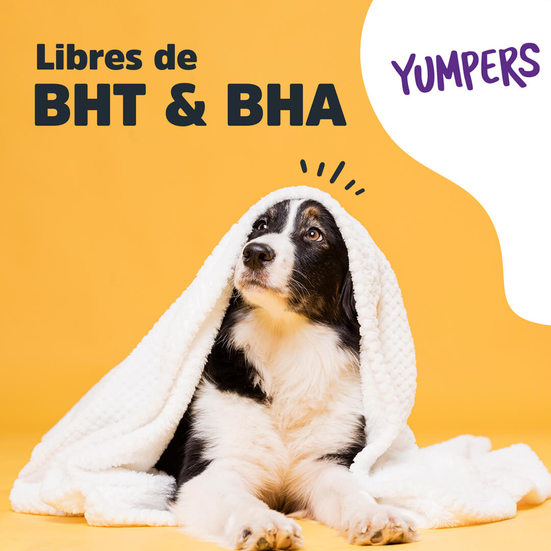 Golosinas para perros con sabor a Carne de Res de Yumpers